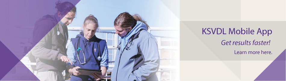 KSVDL Mobile App: Get results faster!