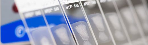 histopathology banner