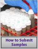 how to submit samples