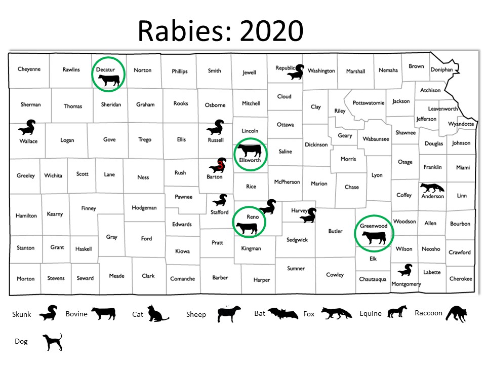 Rabies in Kansas