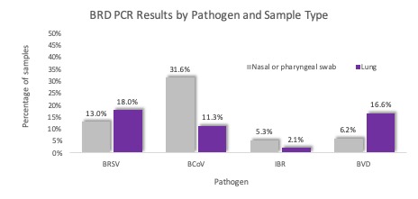 BRD PCR Results