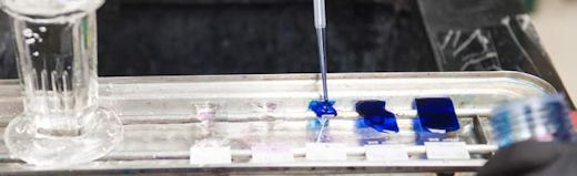 immunohistochemistry banner