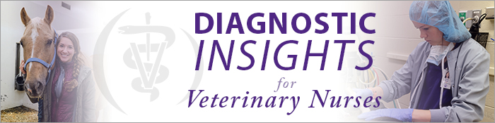 diagnostics for veterinary nurses