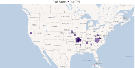 bovine theileria positives