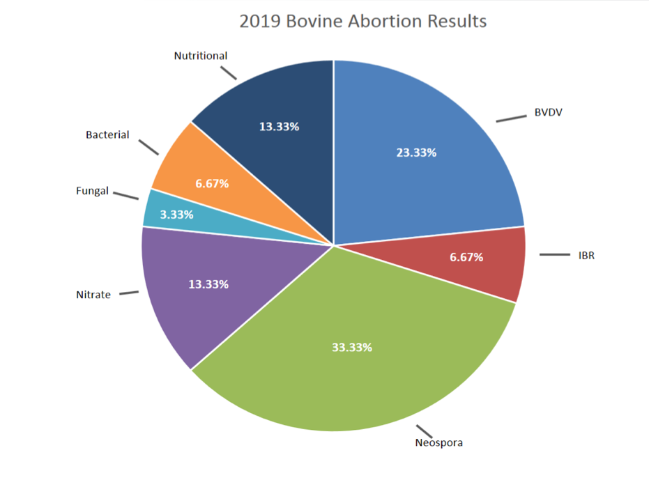 Bovine Abortion Results 2019