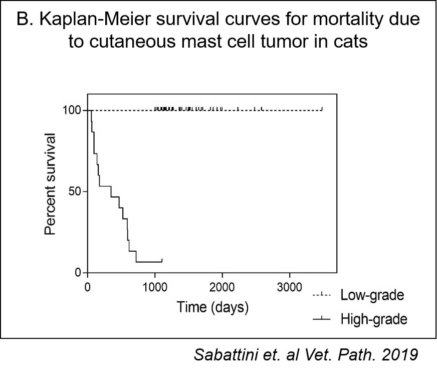 survival curves cutaneous mast cell tumors cats