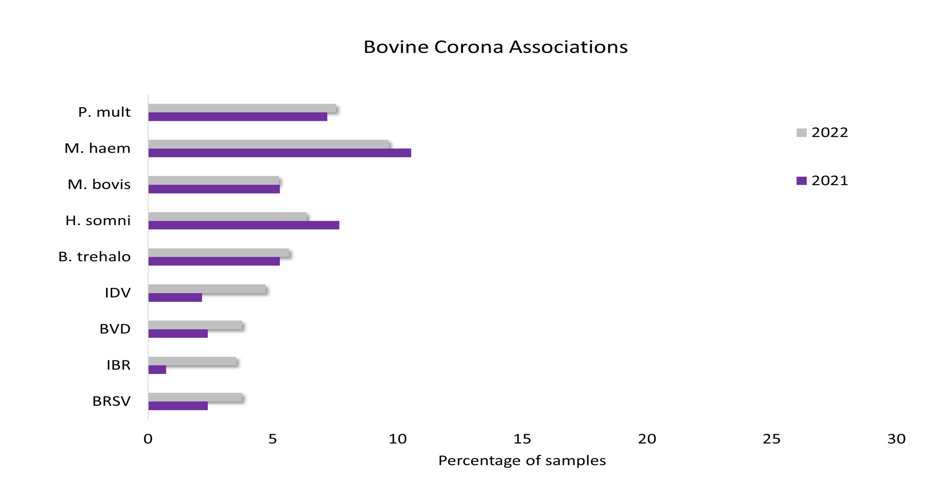 bovine corona virus