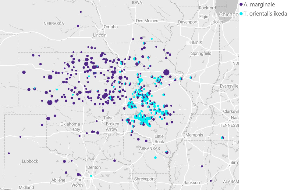 click to enlarge anaplaz map