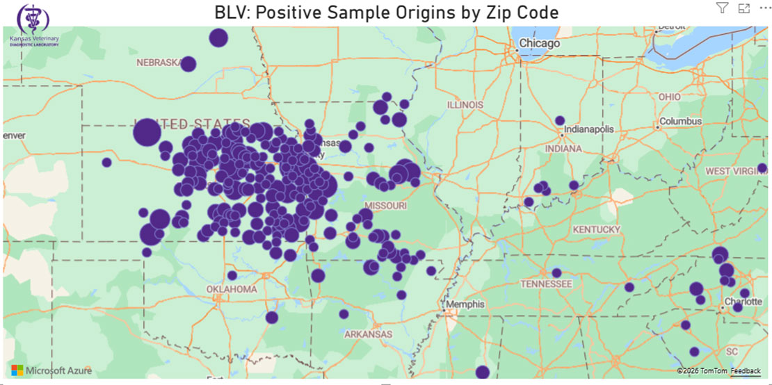 bovine leukosis virus map