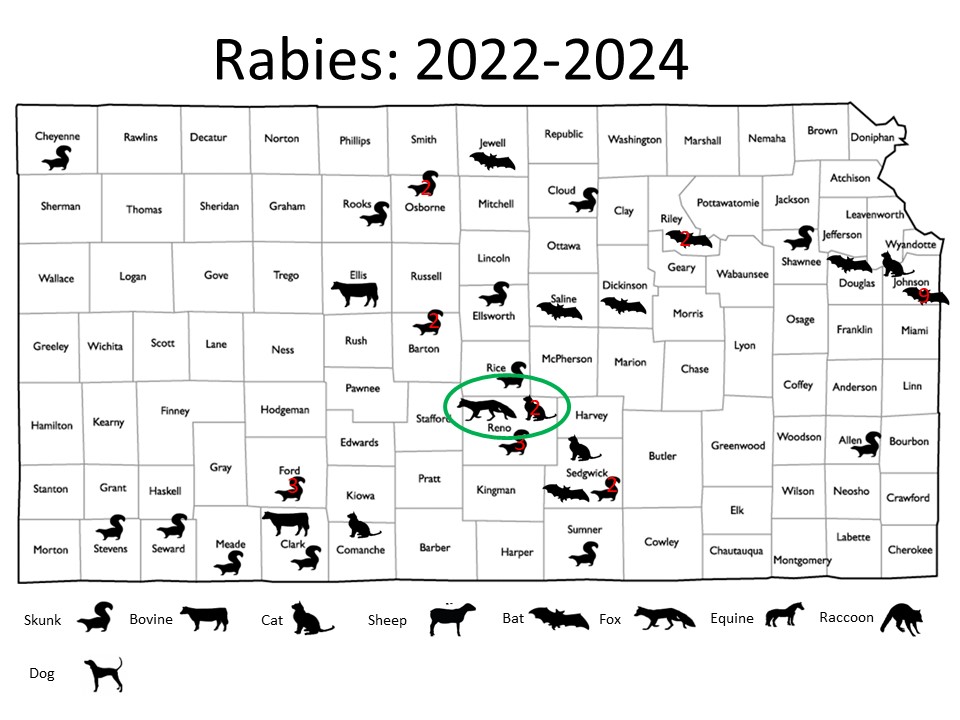 rabies map