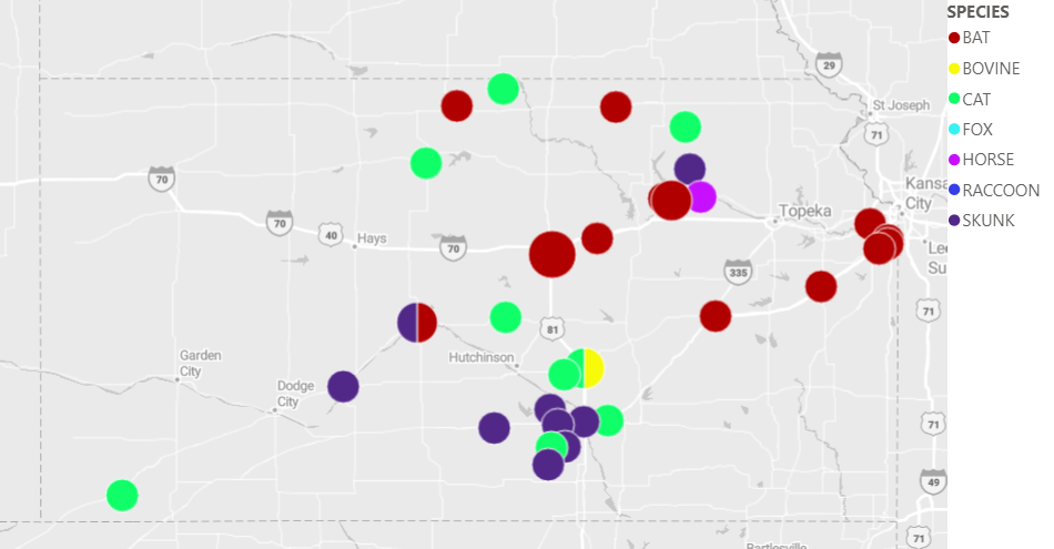 Click to enlarge rabies map