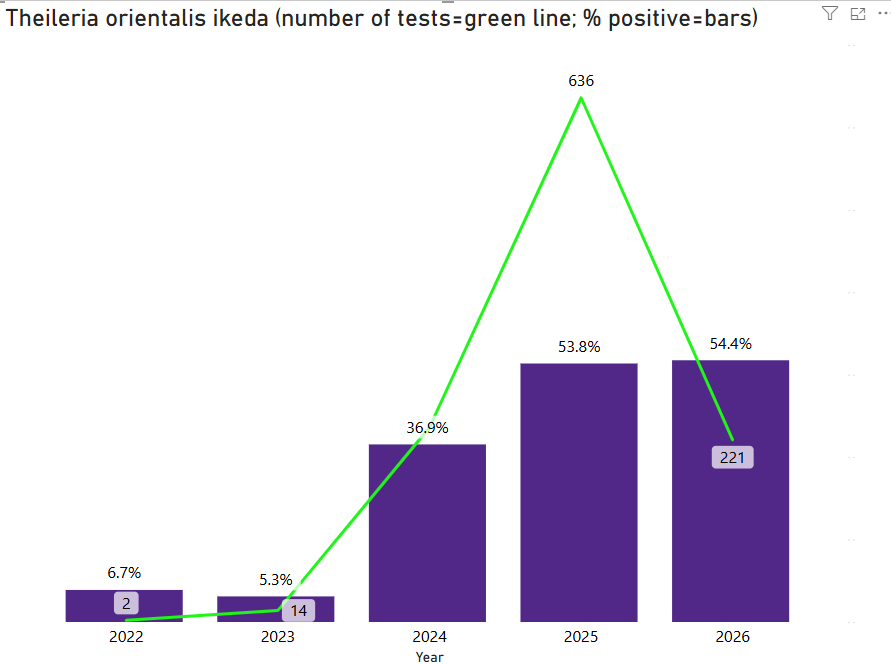 Graph depicting changes in theileria orientalis ikeda tests over a span of four years with a green line noting percent positives