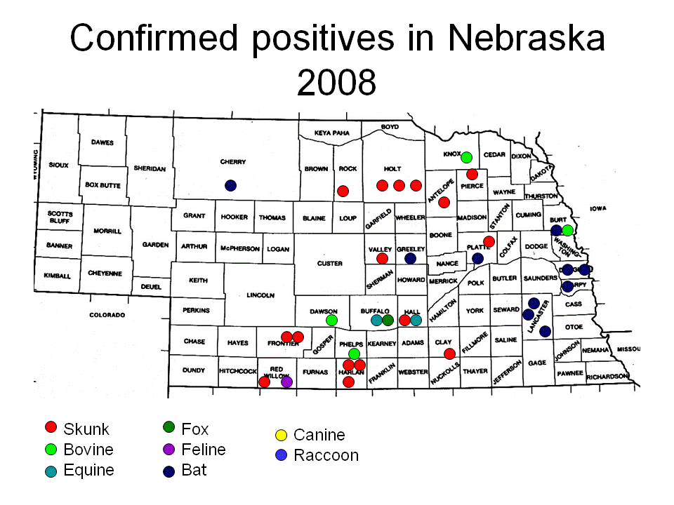 Thumbnail photo of Nebraska positives on map