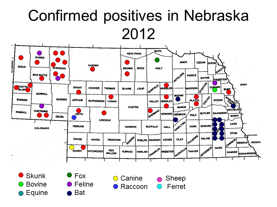 Thumbnail photo of Nebraska positives on map