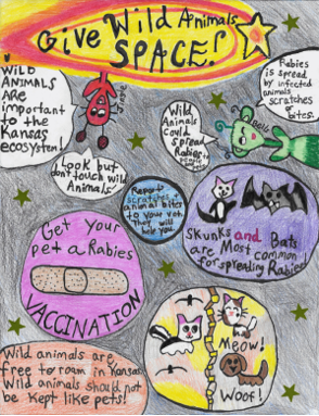 Abigail Wolfer, teacher: Lauren Niccum, 5th grade, Manchester Park Elementary School