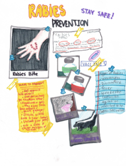 Aliza Tracy, teacher: Jennifer Haynes, 8th grade, Doniphan West Jr/Sr High