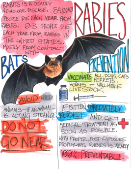 Gwen Joyce, teachers: Evan Brandt and Dave Ewers, 12th grade, Shawnee Mission North High