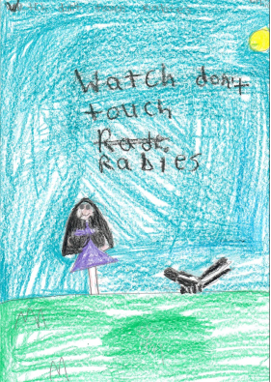 Sophia, teacher: Felicia Cox, 2nd grade, Spring Valley Elementary School